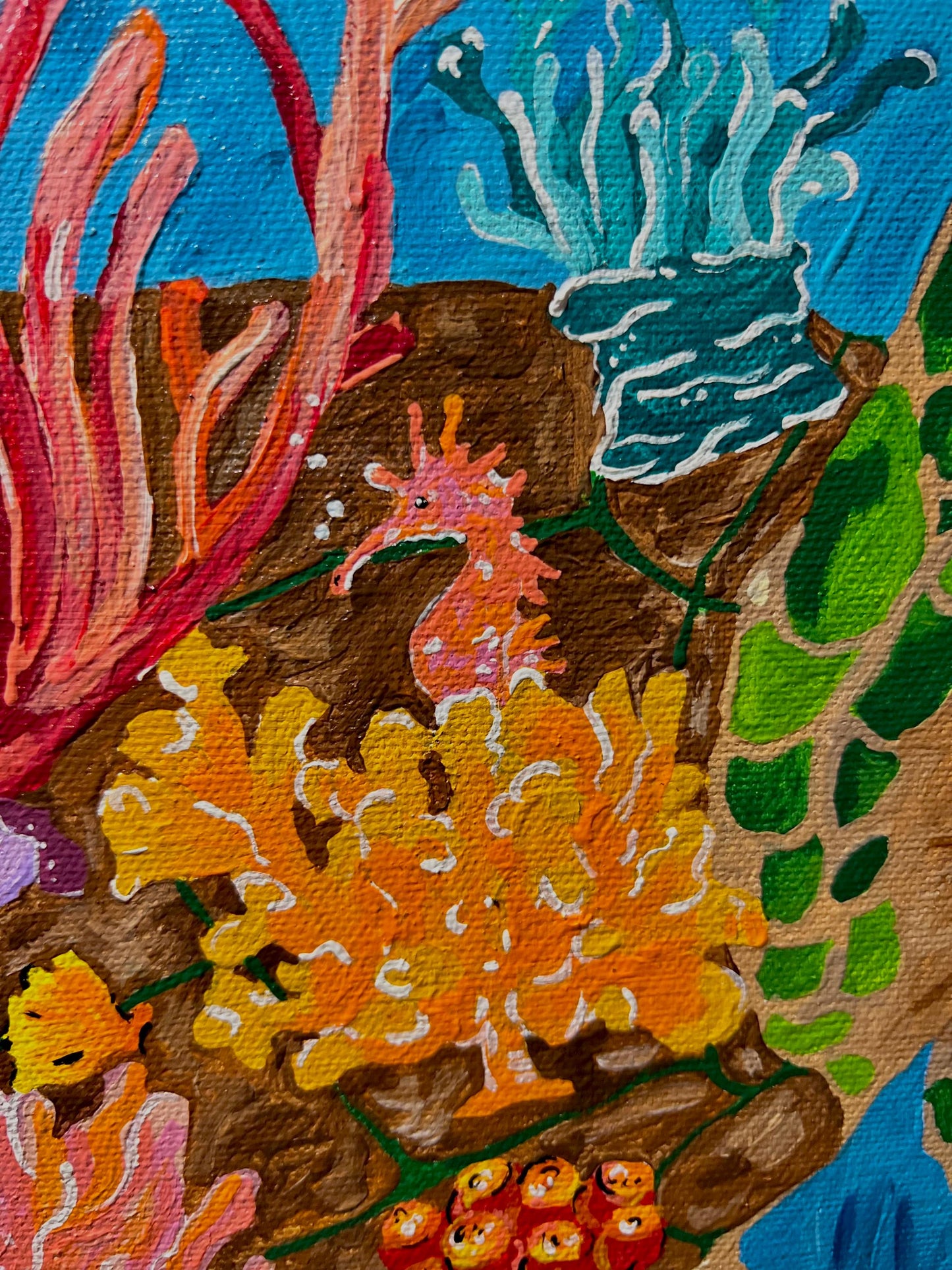 Amanda Craig-Sea Turtle Coral Reef