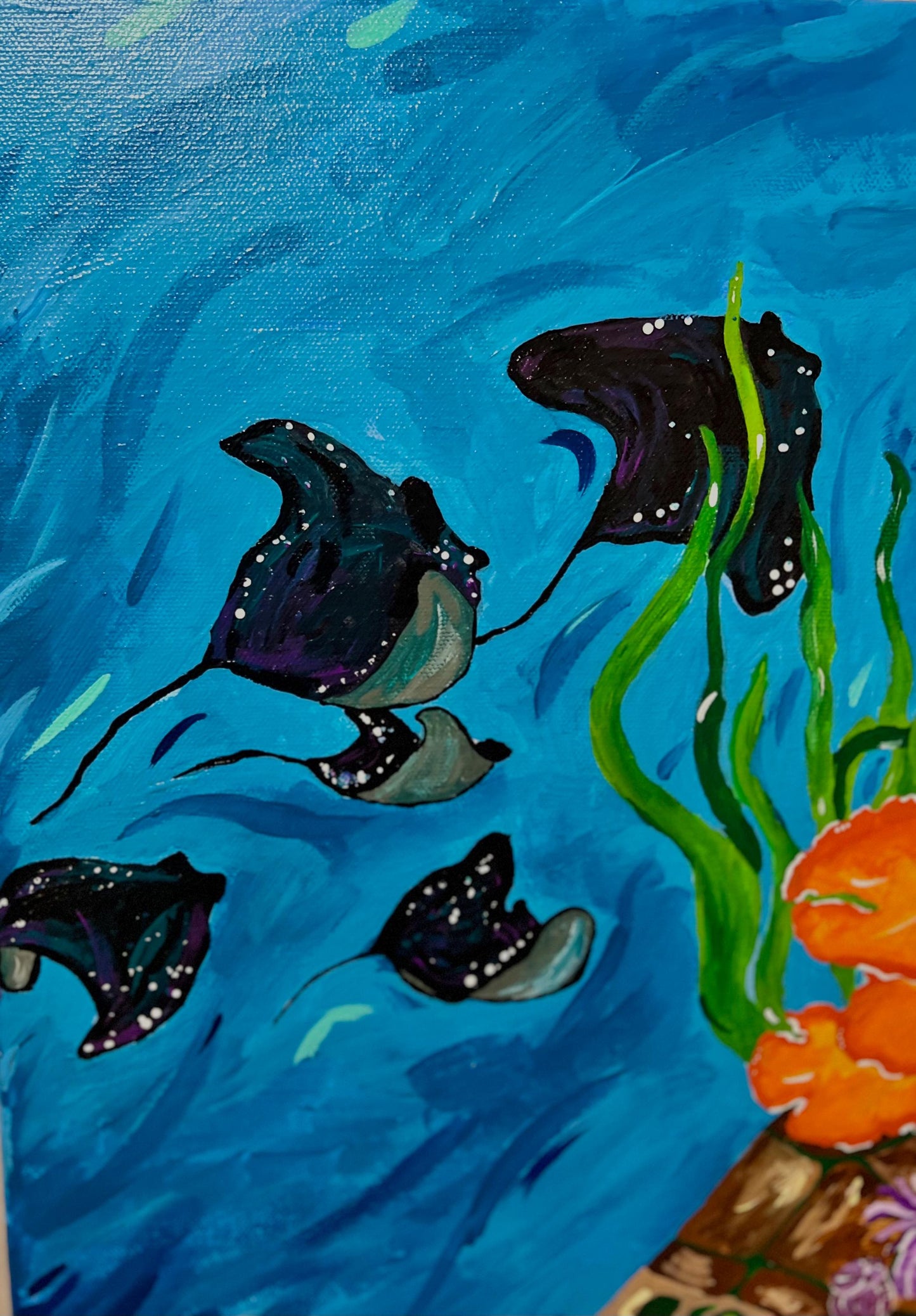 Amanda Craig-Sea Turtle Coral Reef