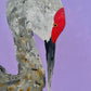 Amanda Craig- Sandhill Crane