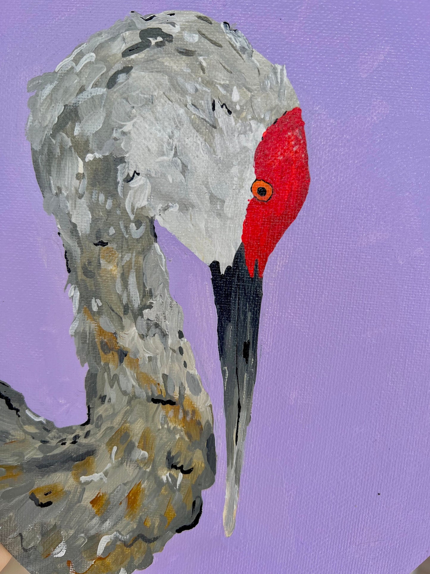 Amanda Craig- Sandhill Crane