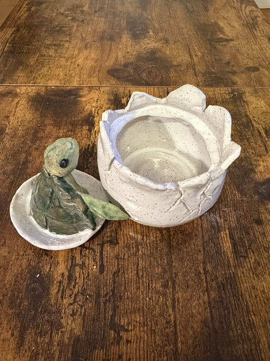 Hannah Nations- Baby Sea Turtle Jar