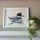 Jessica Schmidtbauer- Belted Kingfisher