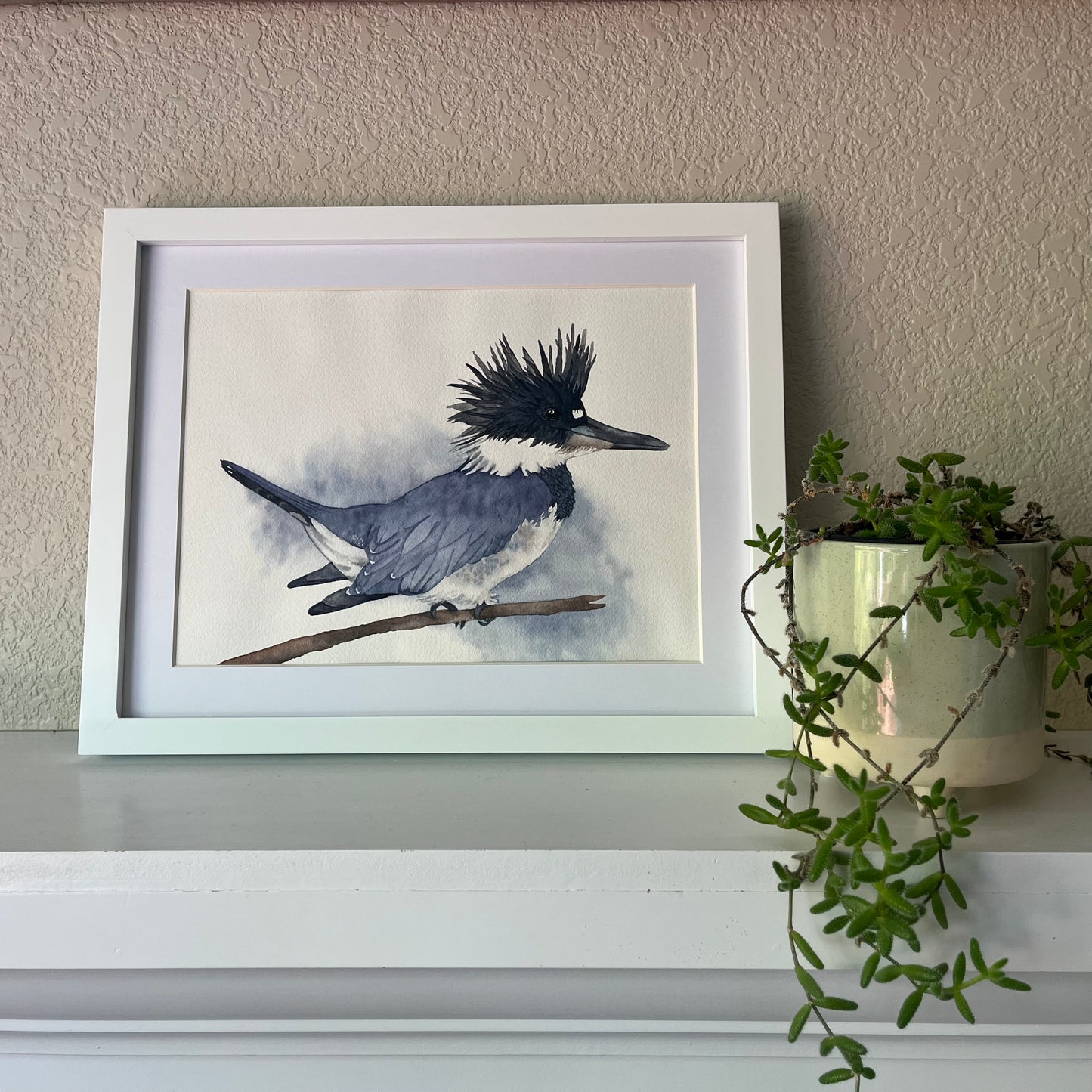 Jessica Schmidtbauer- Belted Kingfisher