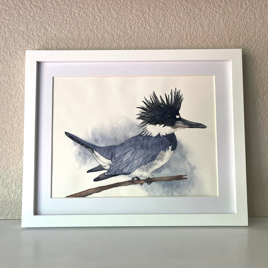 Jessica Schmidtbauer- Belted Kingfisher