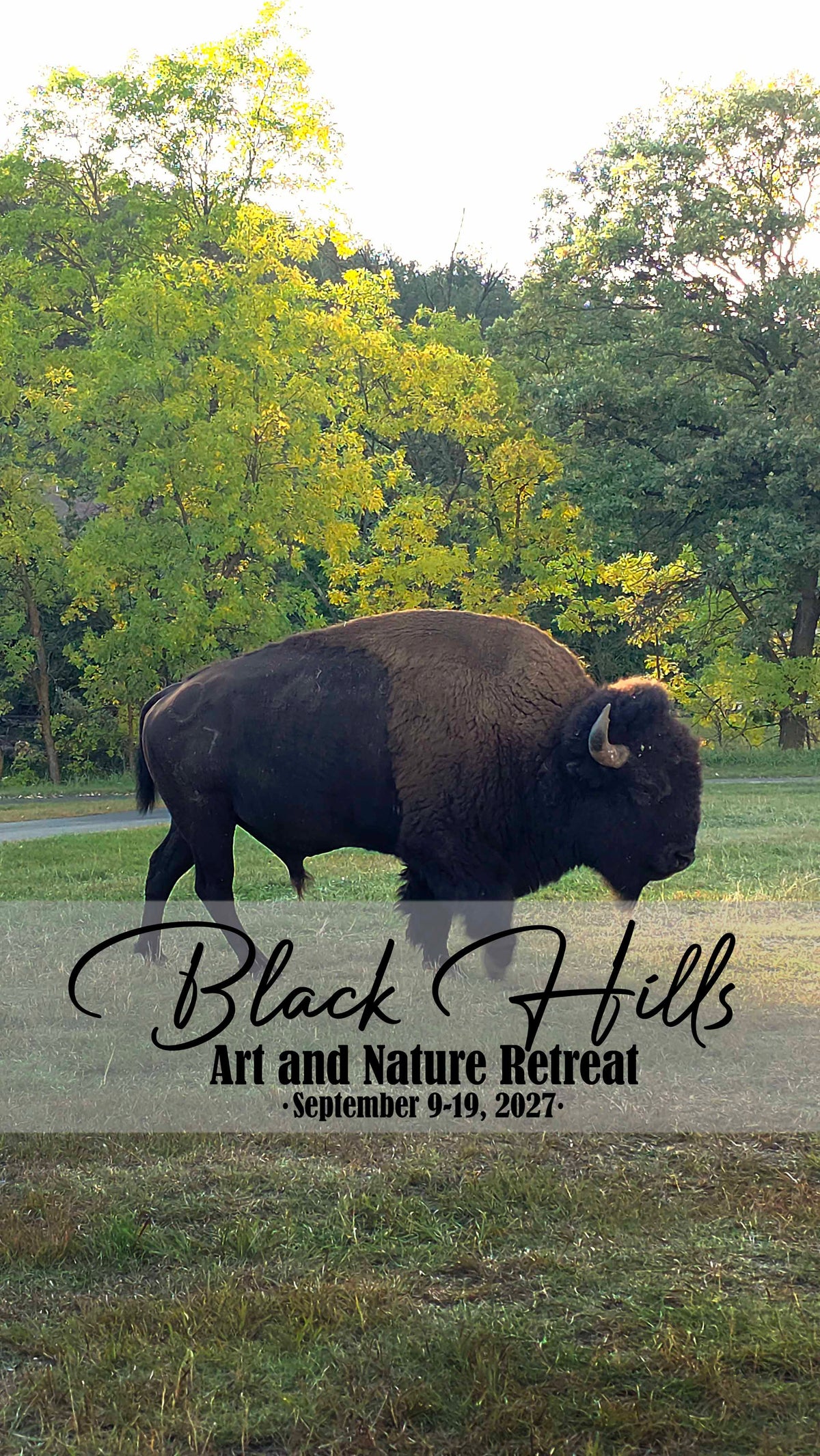 Black Hills Retreat Reservation (Deposit Only)