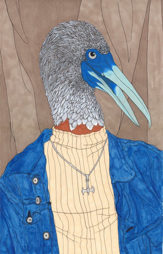 Harriet Pilcher- Blue Footed Booby