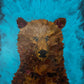 Nicholle Wersland- Blue Bear