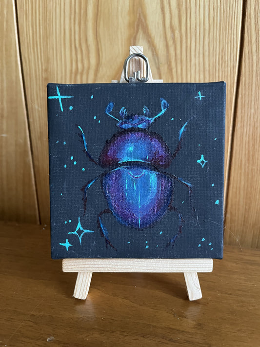 AJ Courtney- Hoplia coerulea