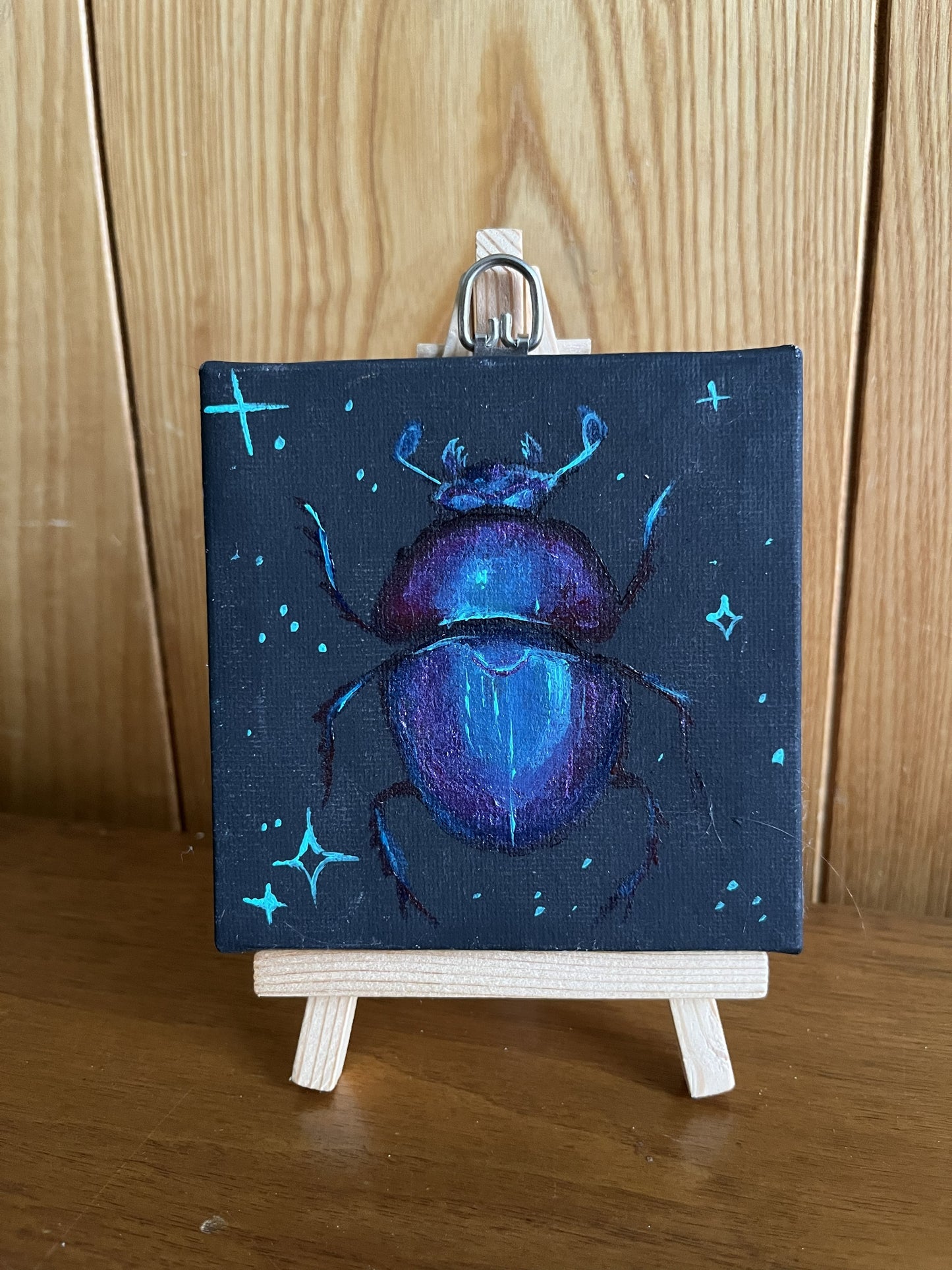 AJ Courtney- Hoplia coerulea
