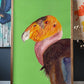 Elodie Guéguen-Teil- California Condor (Gymnogyps californianus)