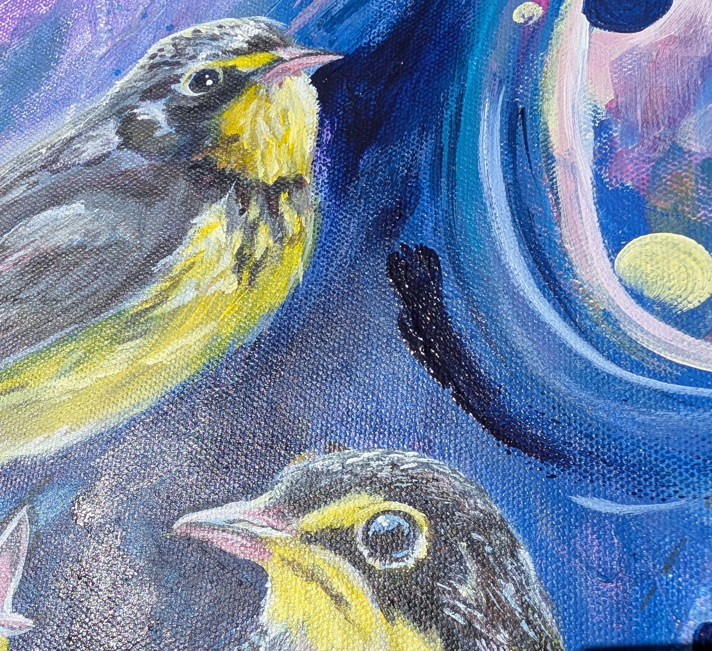 Laura Short- The Canada Warbler