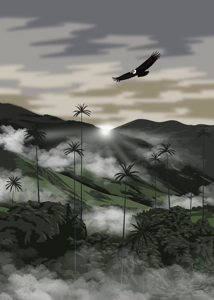 David Rios Leal- Cocora Valley
