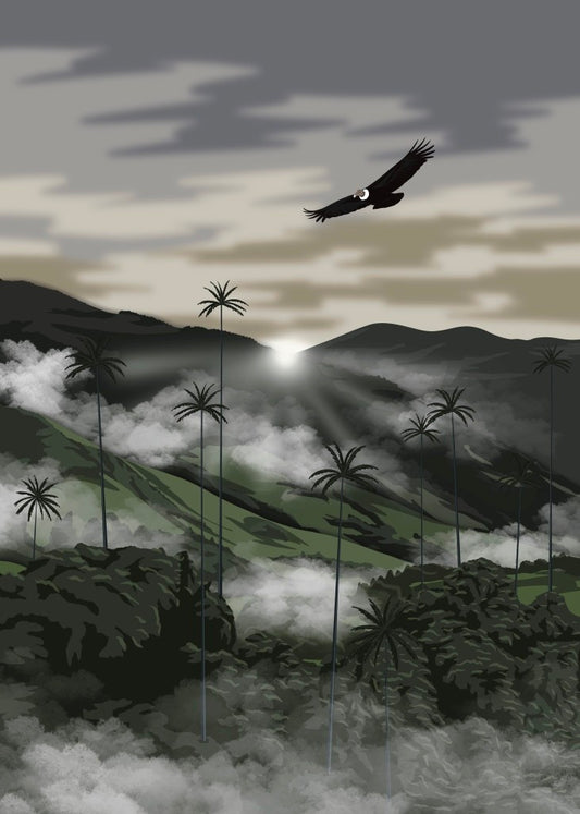 David Rios Leal- Cocora Valley