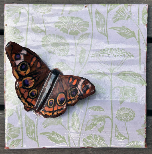 Dara Tesse- Buckeye Butterfly Tile