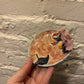 Hannah Nations- Coral Reef and Ray Trinket Dish