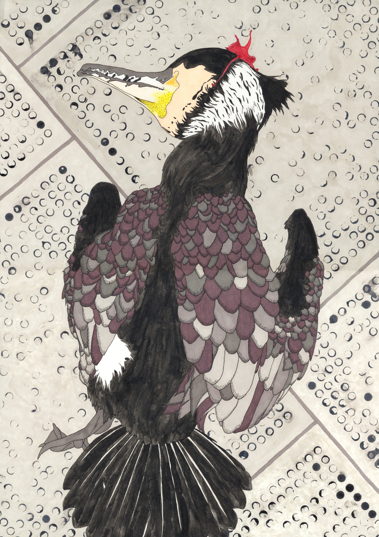 Harriet Pilcher- Cormorant