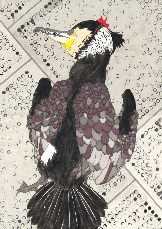 Harriet Pilcher- Cormorant