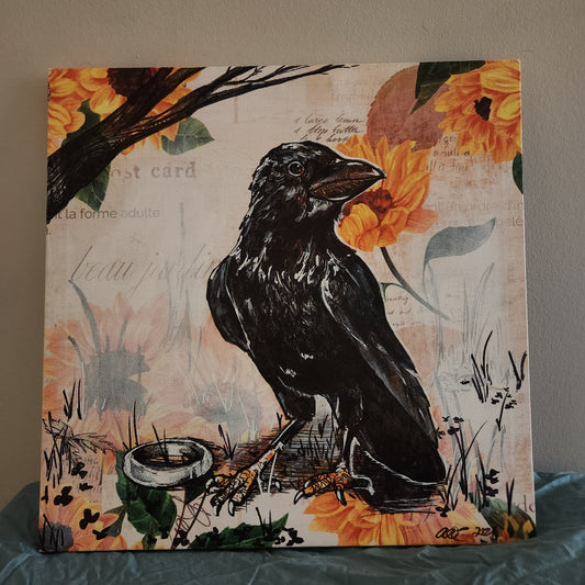 Annie O'Connell- Corvid Curious