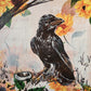 Annie O'Connell- Corvid Curious