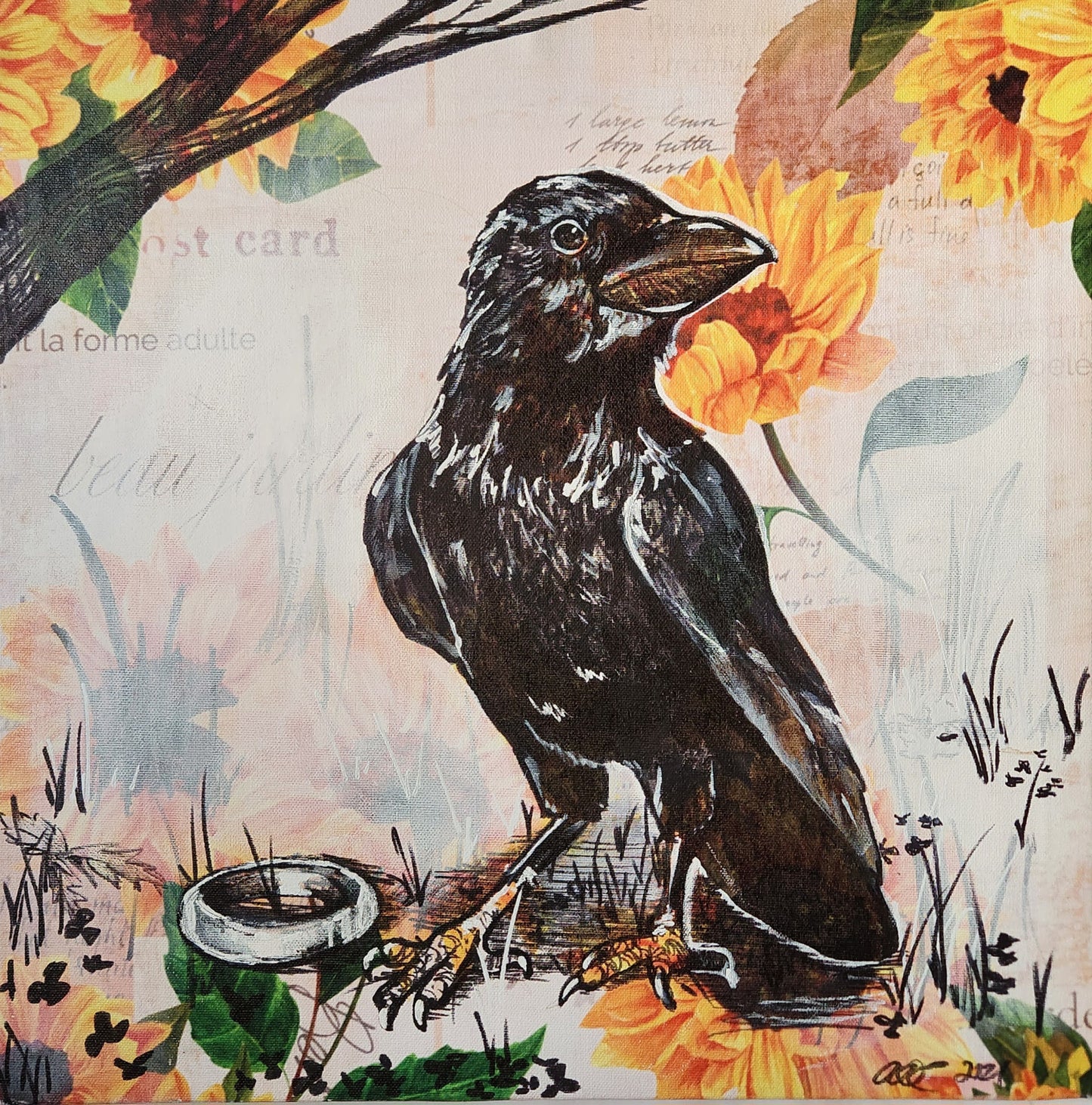 Annie O'Connell- Corvid Curious
