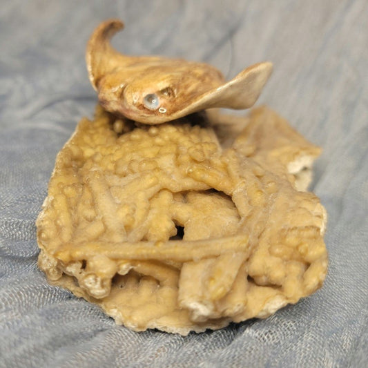 Amber Rae Malott- Cownose Ray Sculpture on Fossilized Coral