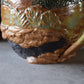 Kelsey Schroeder- Wind Cave Mug