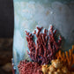 Coral Ecosystem Mug (jellyfish)