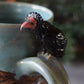 Kelsey Schroeder- Zion Mug