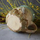 Kelsey Schroeder- Padre Island Mug