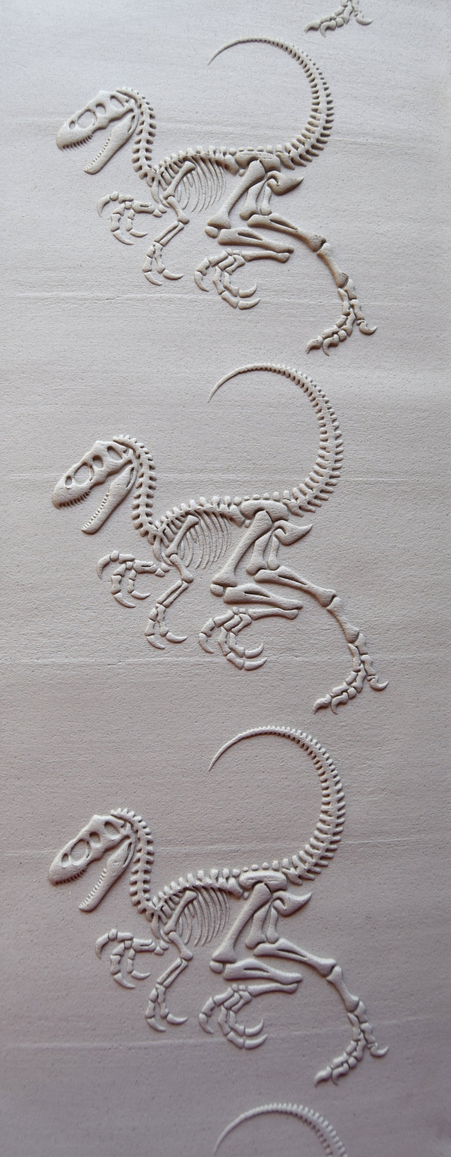 Z*Texture Roller- Oviraptor Fossil