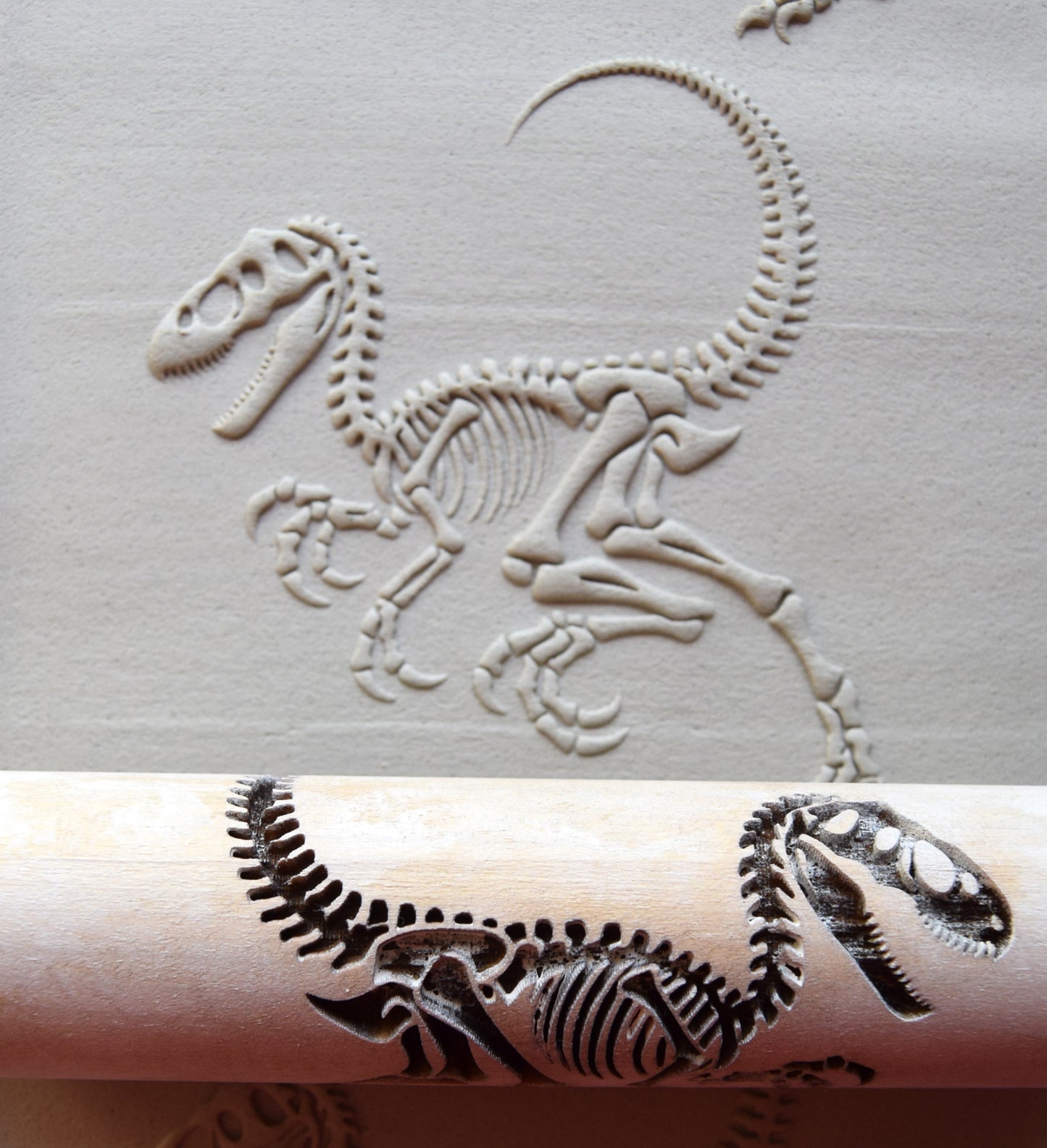 Z*Texture Roller- Oviraptor Fossil