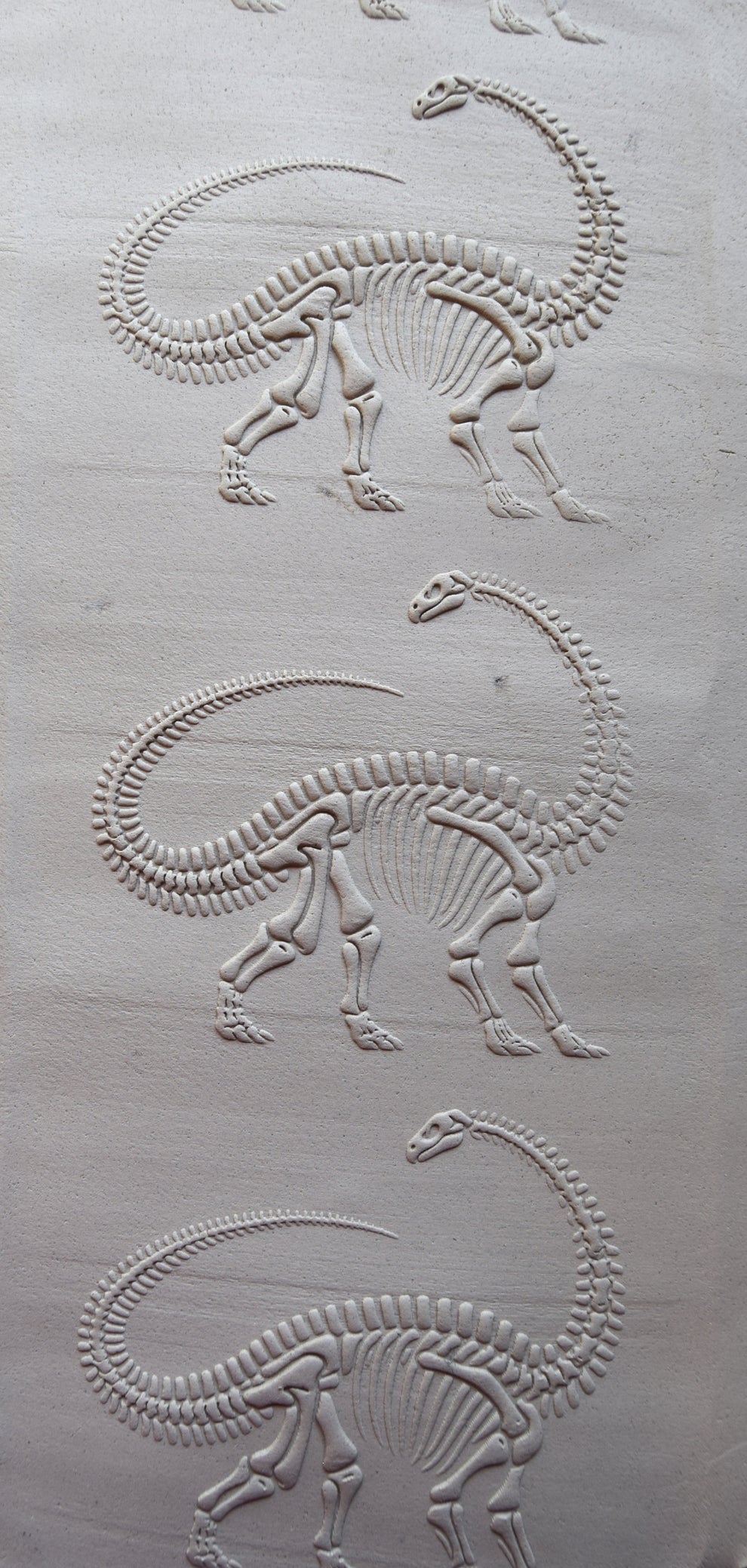 Z*Texture Roller- Brontosaurus Fossil – KS Wildlife Creations