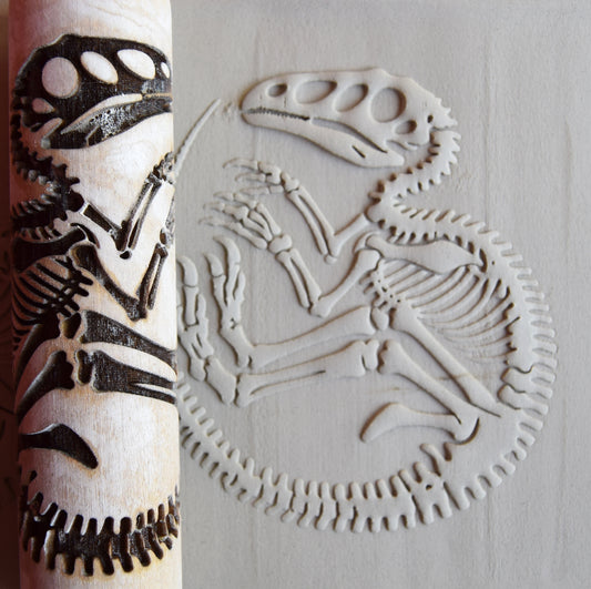 Z*Texture Roller- Compsognathus Fossil