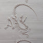 Z*Texture Roller- Twisted Raptor Fossil