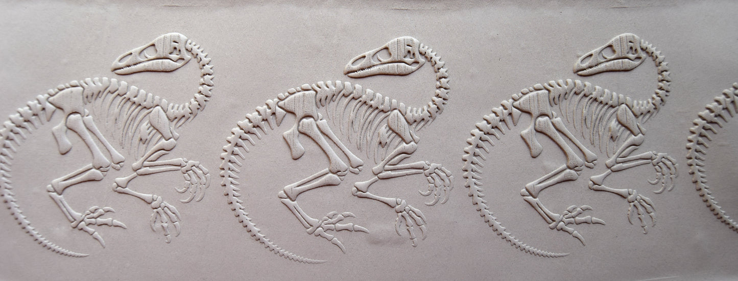 Z*Texture Roller- Ornithomimus Fossil