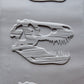 Z*Texture Roller- T Rex Skull Fossil