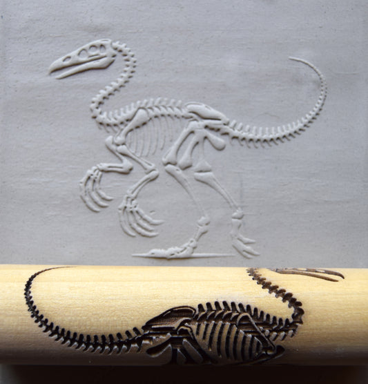 Z*Texture Roller- Gallimimus Fossil