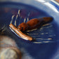 *Plantilla de plato grande