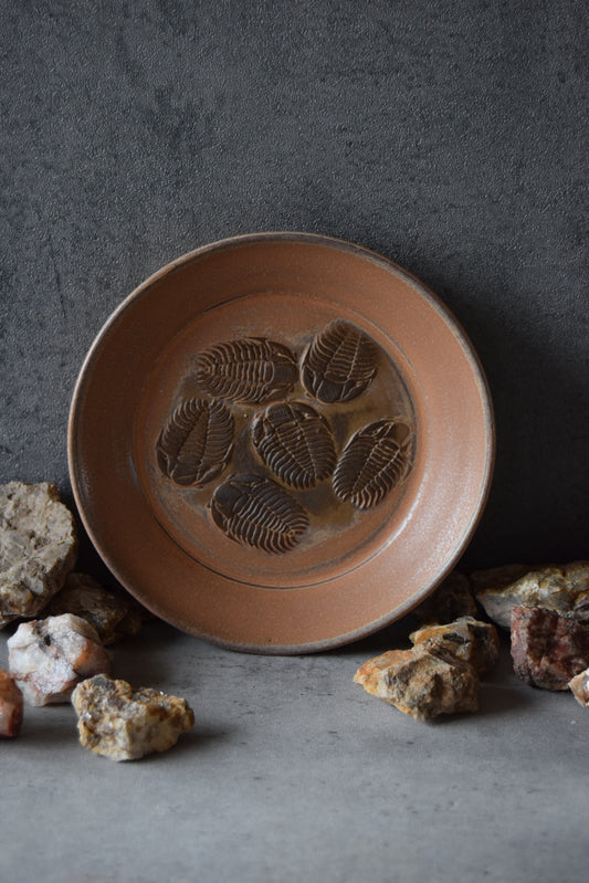 Fossil Trinket Plate 22