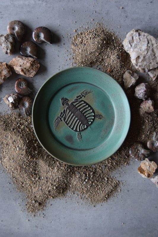 Fossil Trinket Plate 02