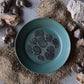 Fossil Trinket Plate 03