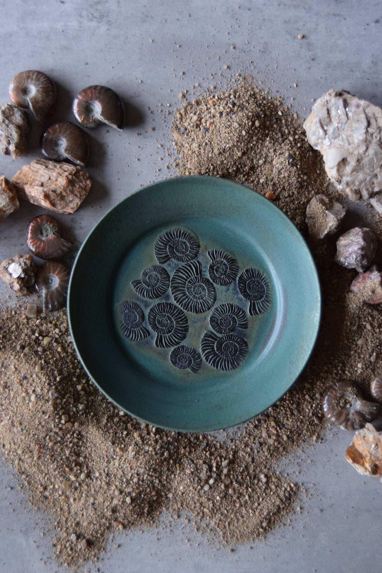 Fossil Trinket Plate 03