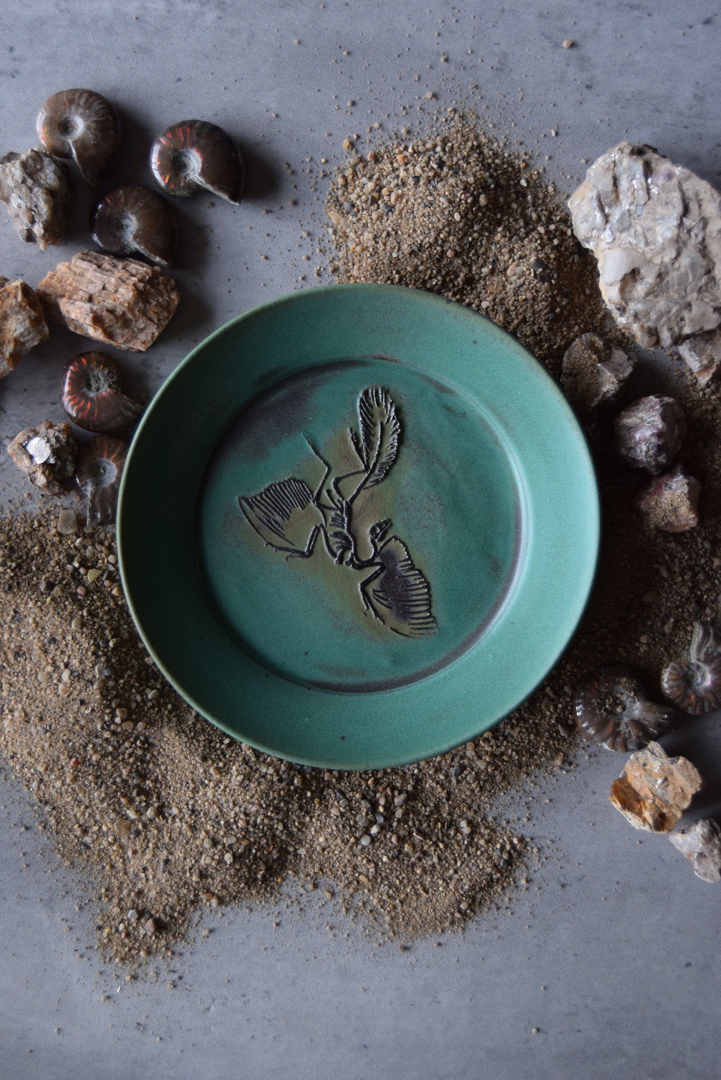 Fossil Trinket Plate 05