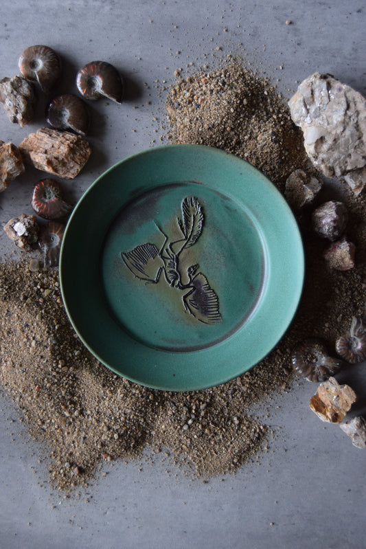Fossil Trinket Plate 05
