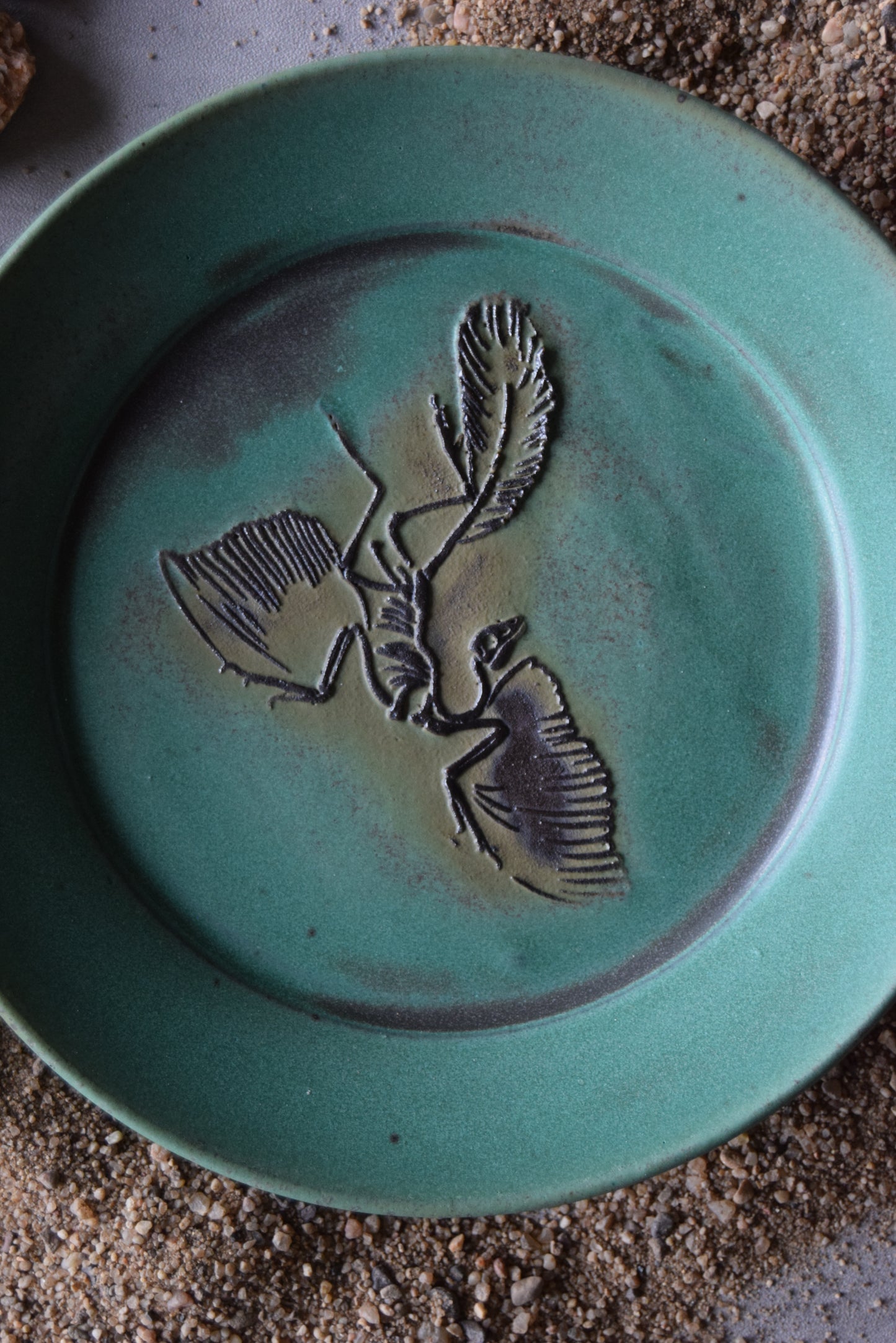 Fossil Trinket Plate 05