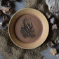 Fossil Trinket Plate 06