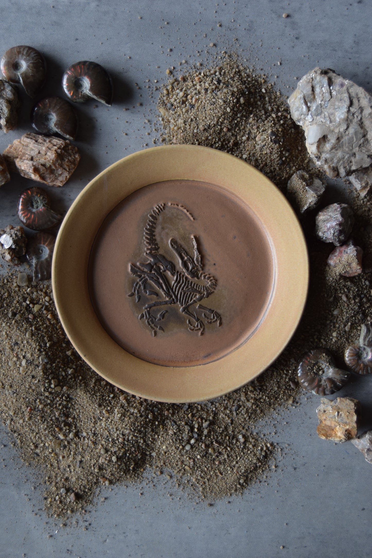 Fossil Trinket Plate 06