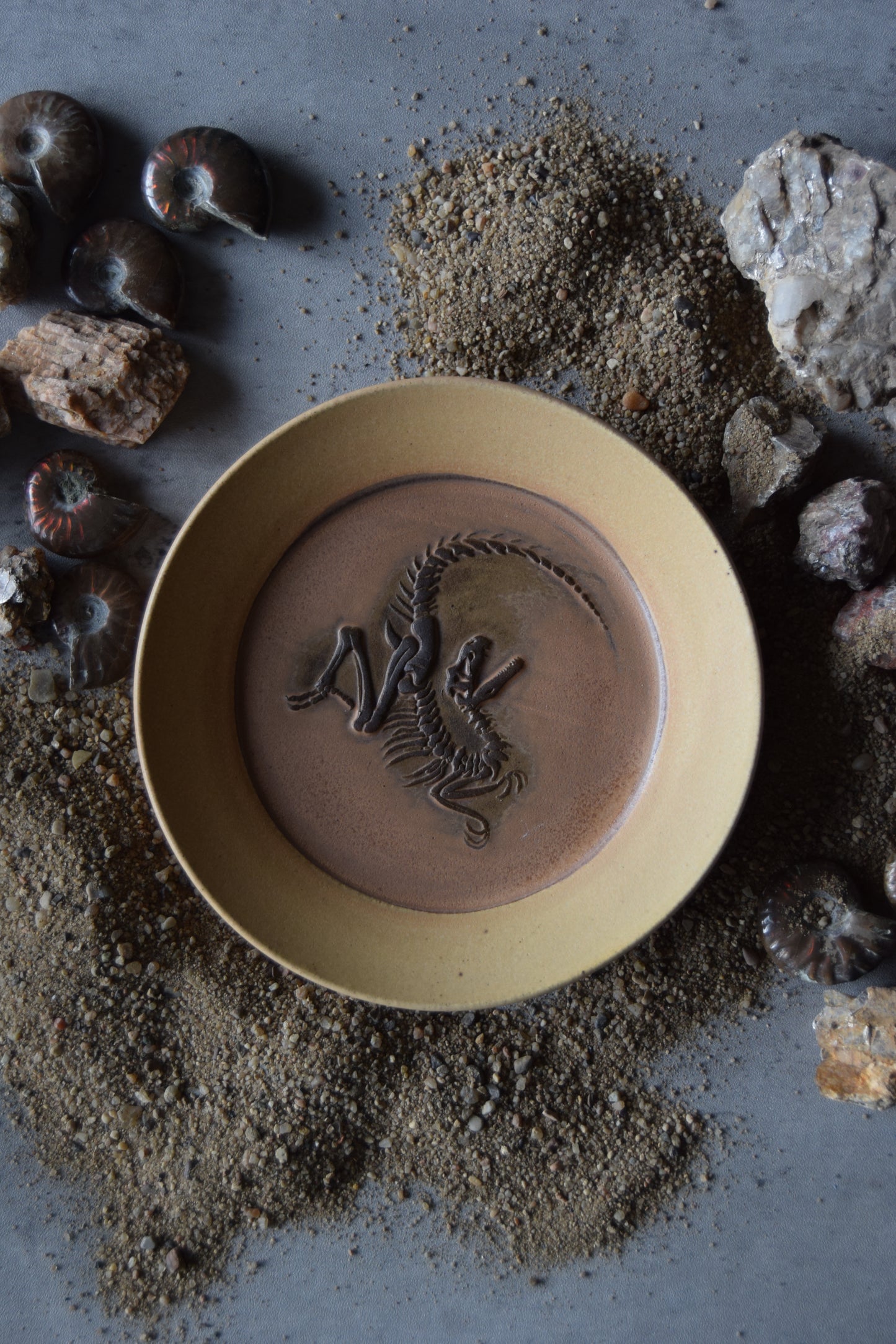 Fossil Trinket Plate 07