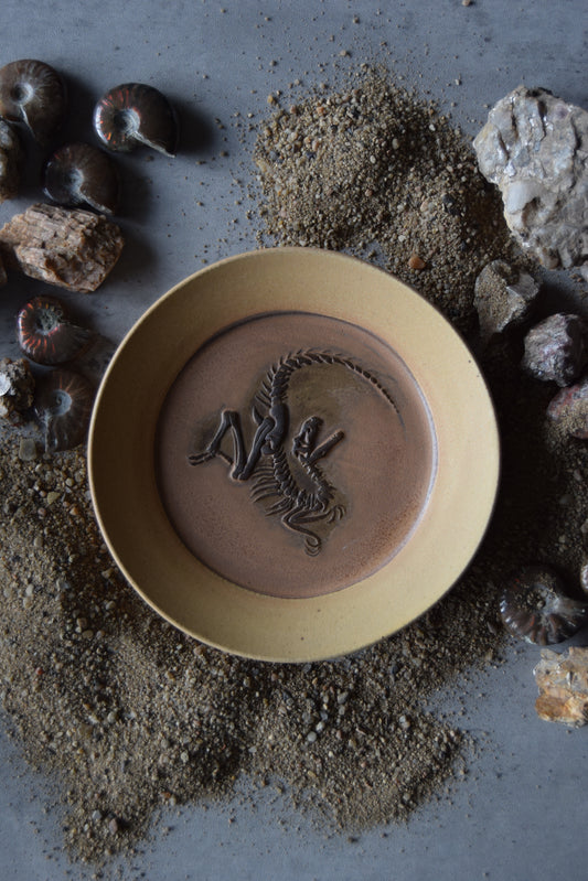 Fossil Trinket Plate 07