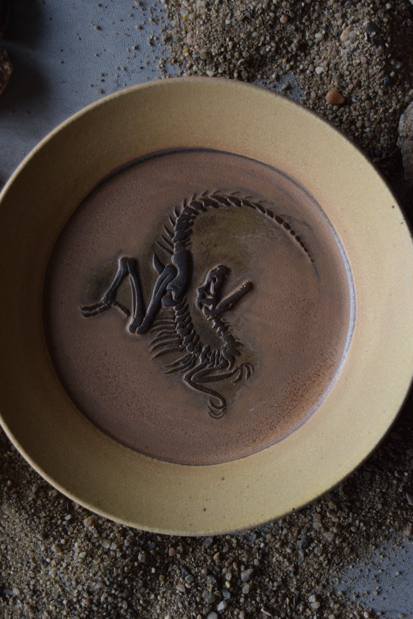 Fossil Trinket Plate 07